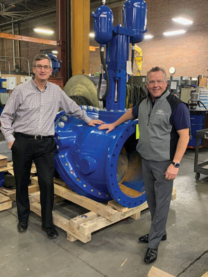 Check Valves